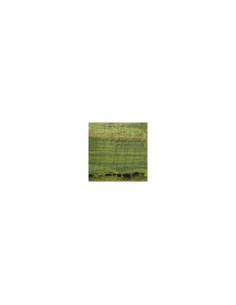 Vert Azahar - Granit - Finition Poli (Poli) - Plans Cuisines