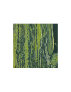 Vert Van Gogh - Granit - Finition Poli (Poli) - Plans Cuisines