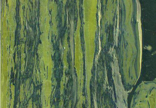 Vert Van Gogh - Granit – Finition Satiné (Mat) - Plans Cuisines