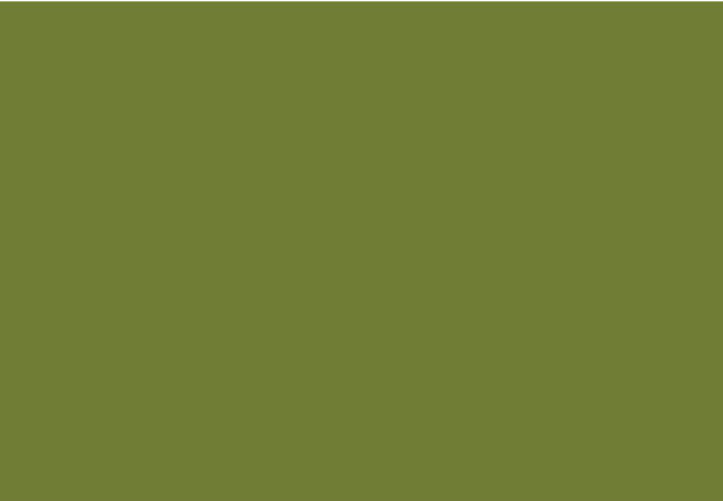 Blooming Green - Finition Corian - Plans Cuisines