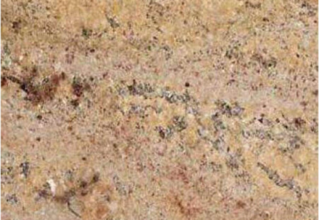 Brun Ivoire - Granit - Finition Poli (Poli) - Plans Cuisines